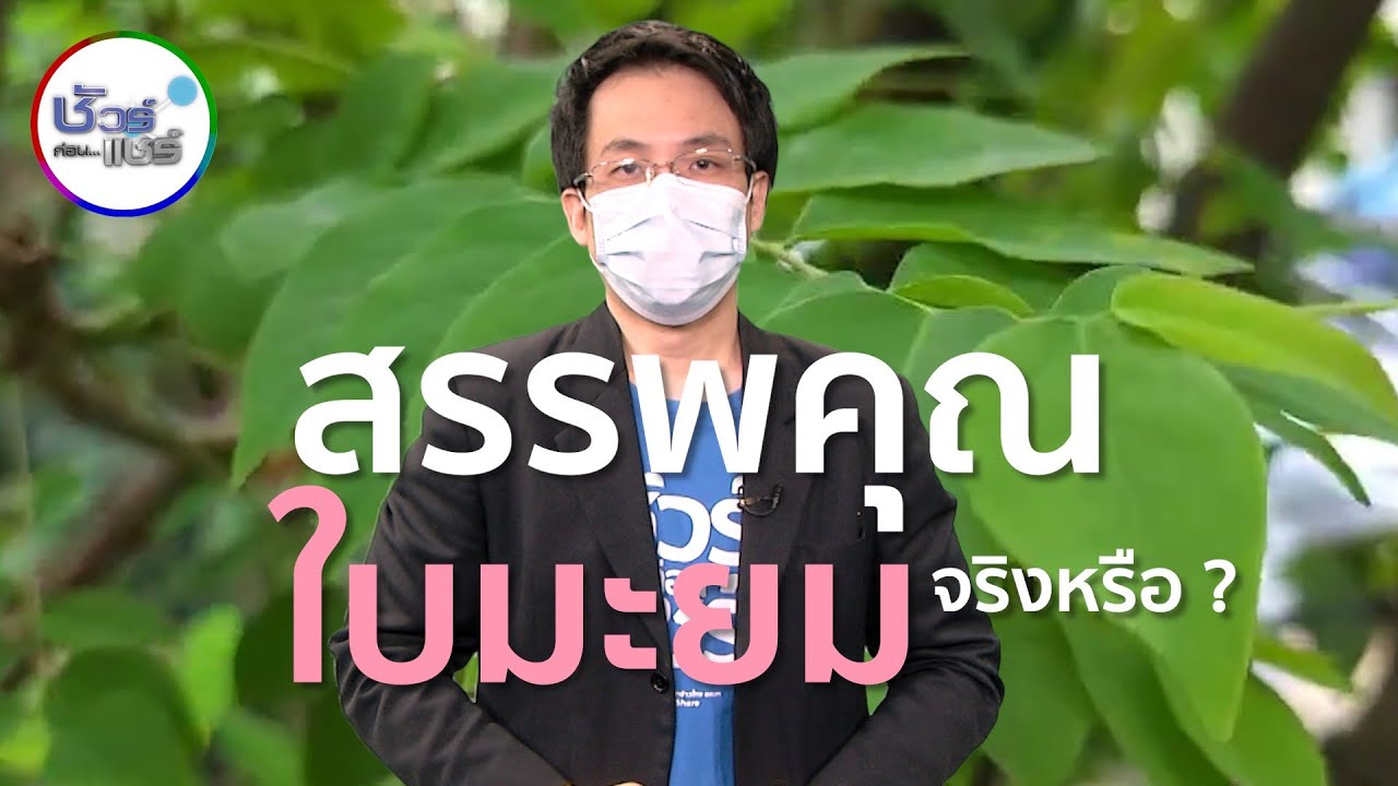 ชัวร์ก่อนแชร์ : หลากหลายสรรพคุณของใบมะยม จริงหรือ ?