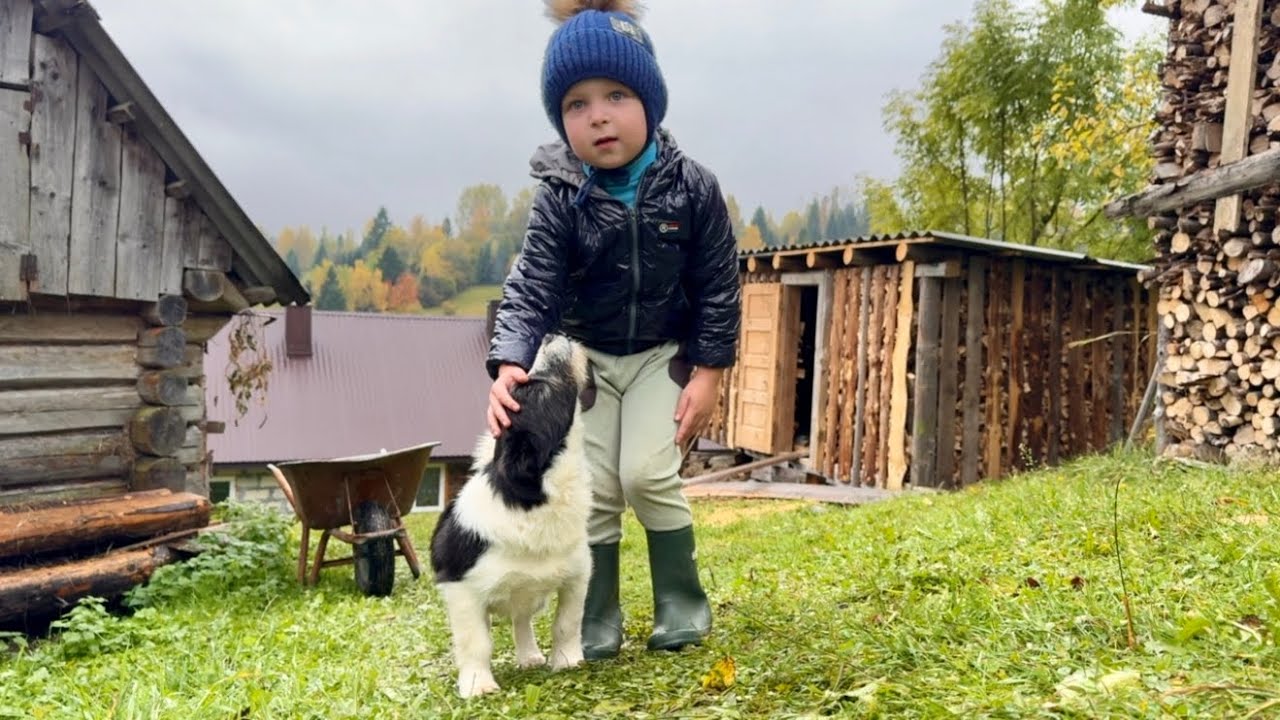 Маленькое счастье в Карпатах Матвей, мама Мария и папа Юрий живут среди гор