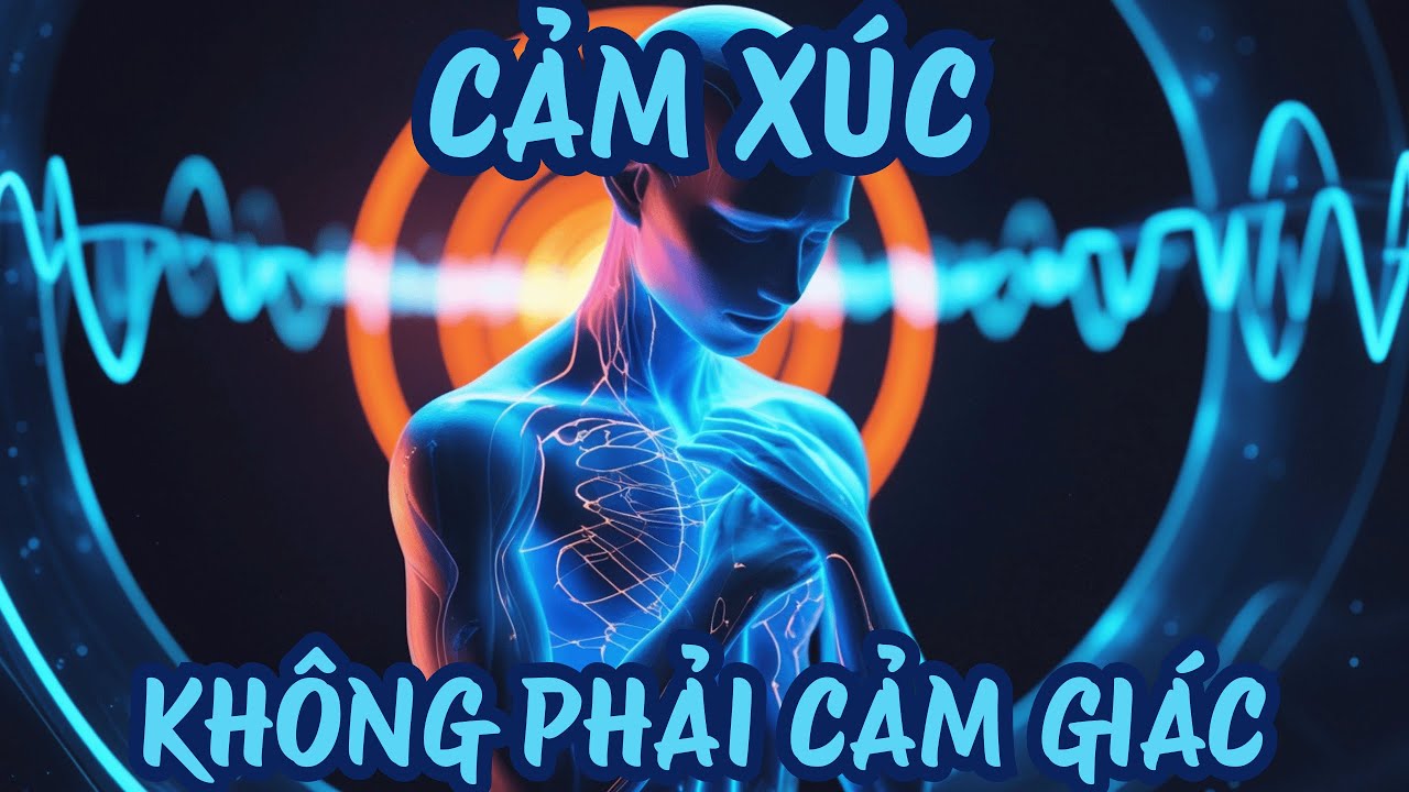 Cảm Xúc Không Phải Cảm Giác – Chúng Là TẦN SỐ Khiến Thực Tại Đổi Kênh