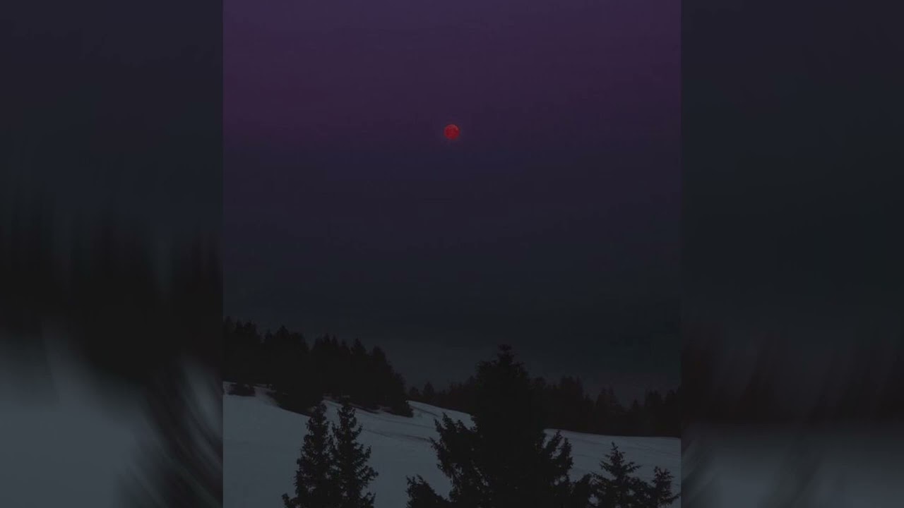 [FREE] 