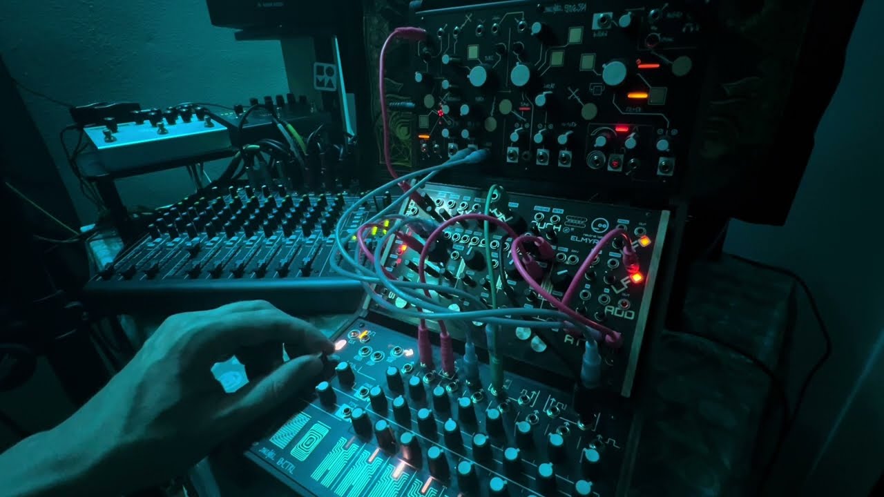 Organism _ End /// Elmyra and Strega