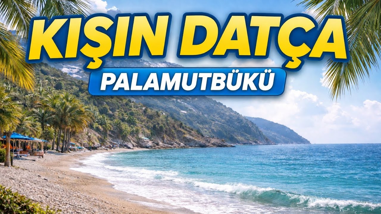 Kışın Datça Nasıl? Palamutbükü’nde Sessiz Bir Gün