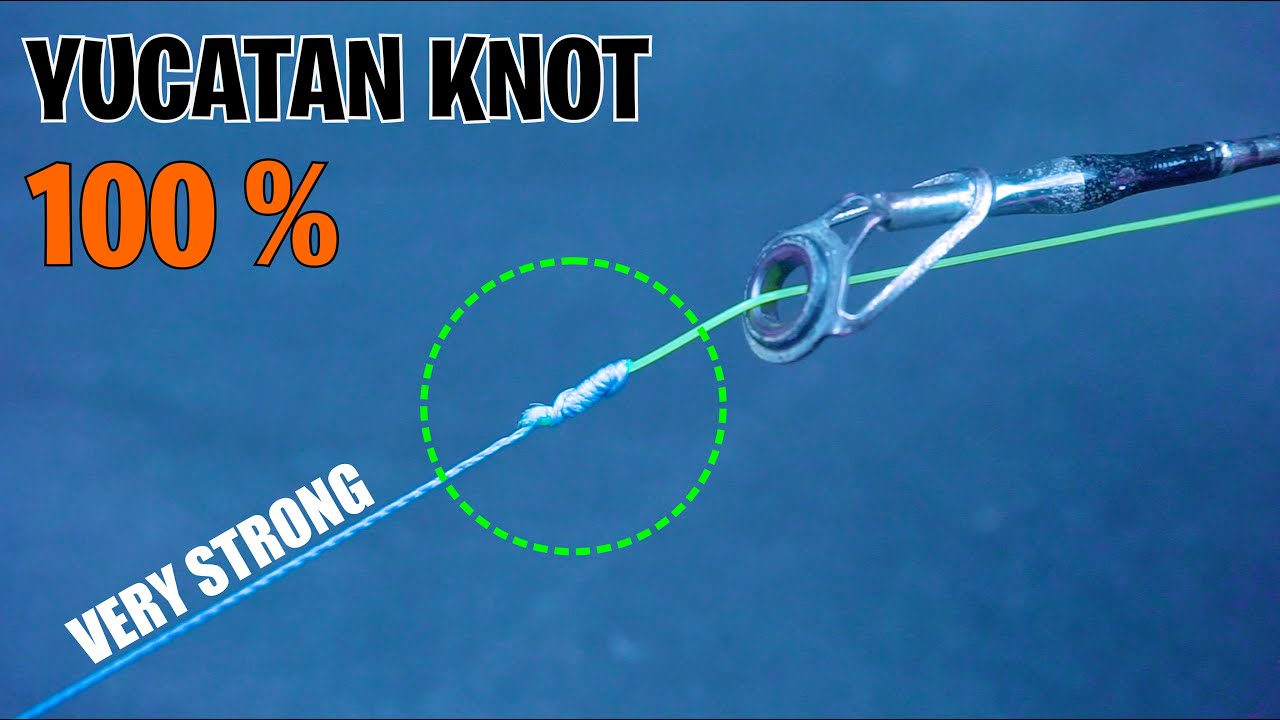 HOW TO TIE YUCATAN KNOT BEST FISHING KNOT - KM Fishing Knots