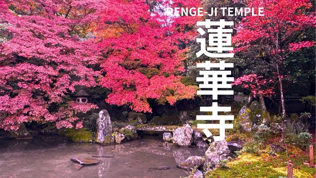 【蓮華寺】京都 KYOTO   RENGE-JI TEMPLE