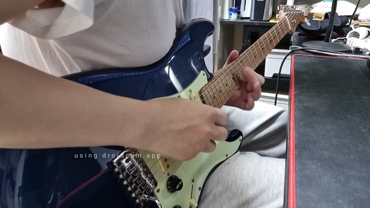 Bacchus BST-1-RSM demo