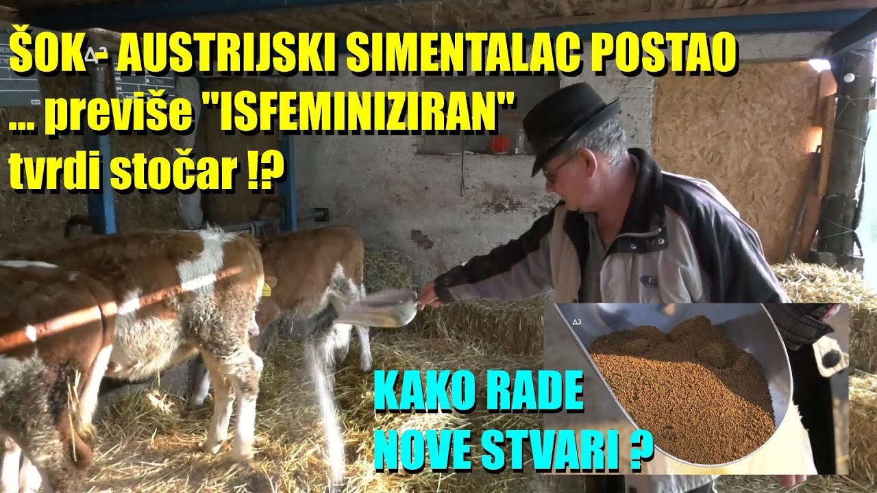 Mala FARMA s VRHUSKOM proizvodnjom ALI DIREKTNA prodaja MLEKA -  evo kako se brine o stajnjaku ...