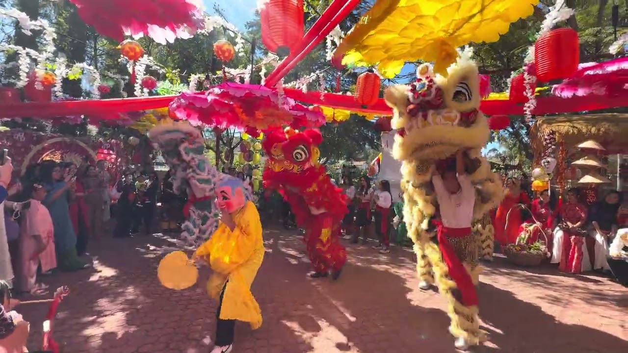 Chinese new year 🧧 2026