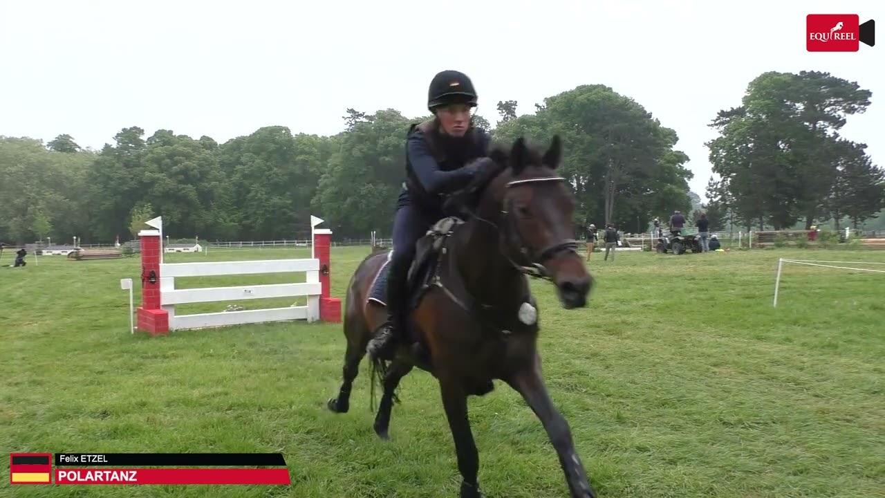Hengst Polartanz CCI3*S  Haras de Jardy Mai 2022 Cross Country