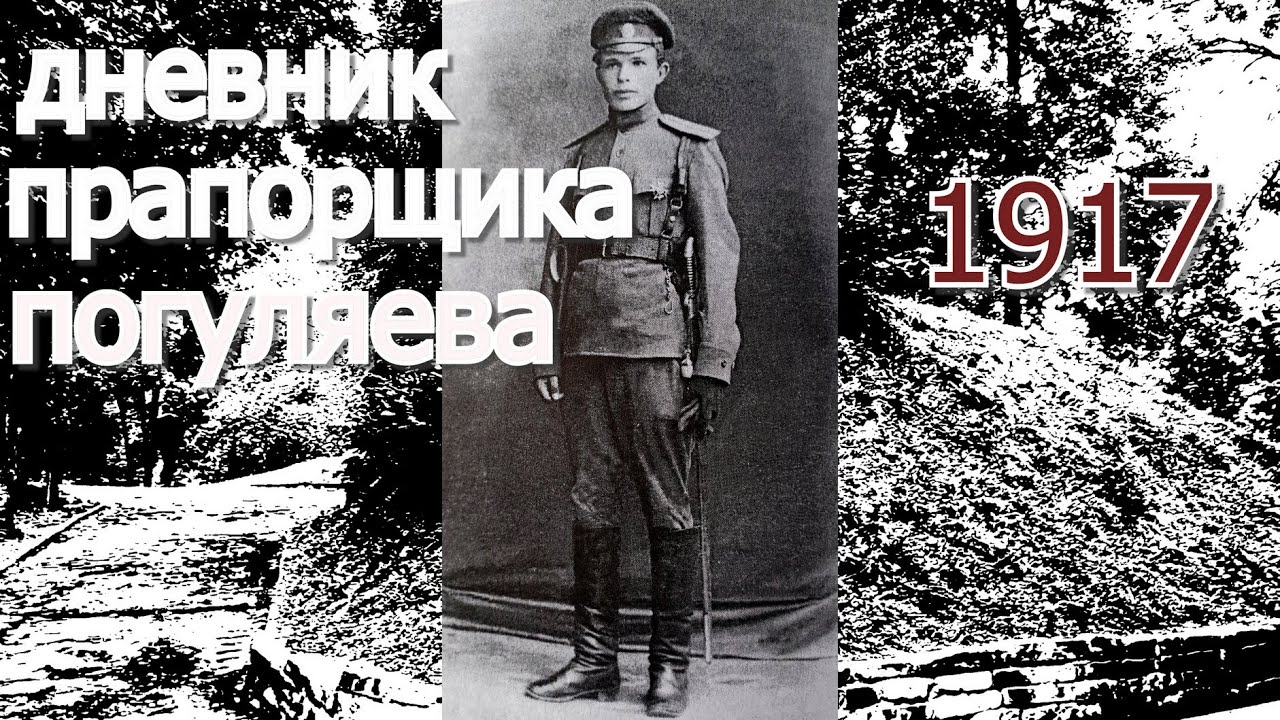Дневник прапорщика Погуляева