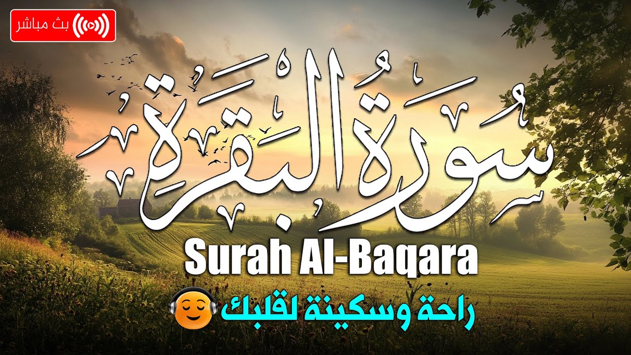 سورة البقرة ( كاملة ) للقارئ حسام المعصبى | Hossam Al-Maasabi surah albaqara
