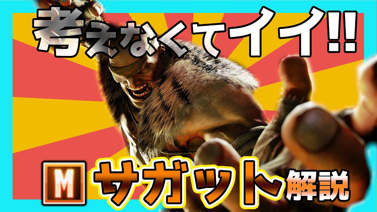 本当に頭を使いたくない人向けのモダンサガット解説
