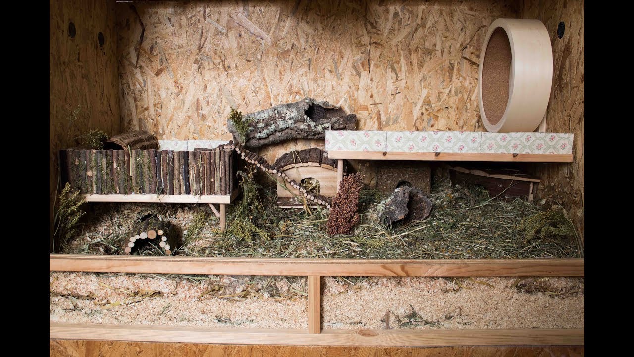 Gehege Bauen + Einrichtung // Rennmäuse