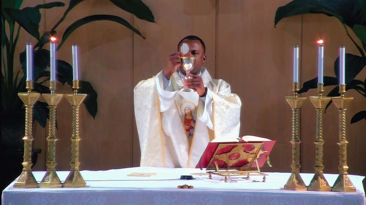 La Sainte Messe du jour | Bienheureuse Vierge Marie de Lourdes | 11-02-2026 | P. Achille José B. FM