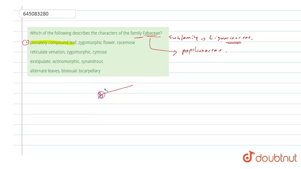 Which of the following describes the characters of the family Fabaceae? | 12 | NTA NEET SET 93 |...