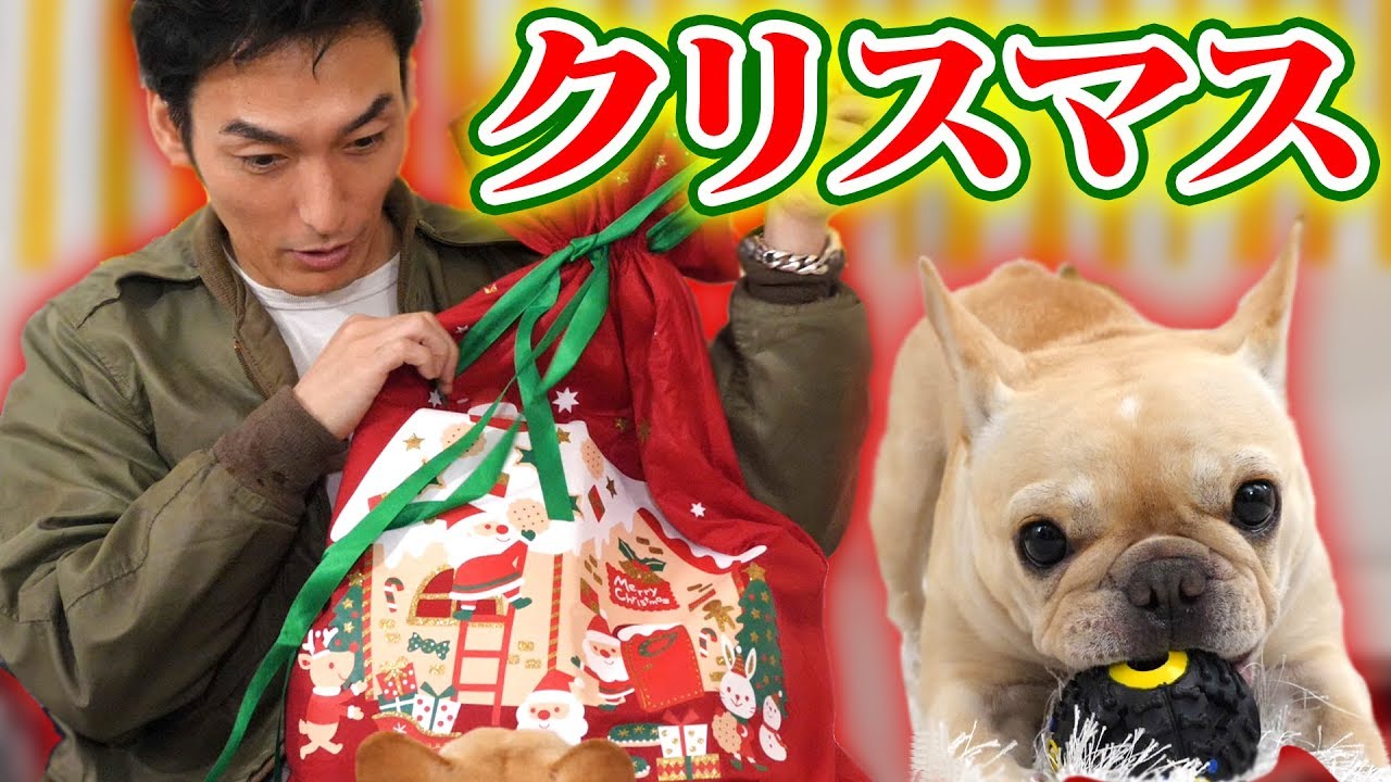何が入ってる！？くるみちゃんにクリスマスプレゼント！