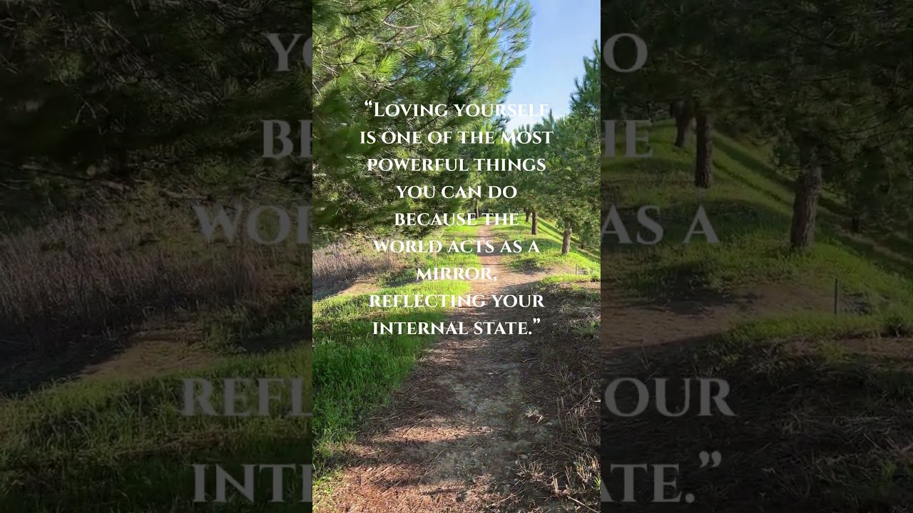 Stop chasing. Start aligning. #sleepwithnature #gratitude #lawofattraction #nevillegoddard #healing