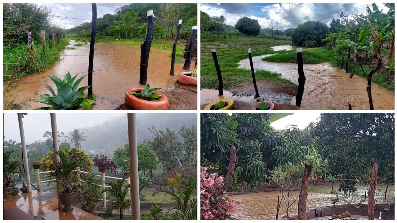 UMA CHUVA INTENSA CAIU NO SITIO // FIQUEI ASSUSTADO 😨 