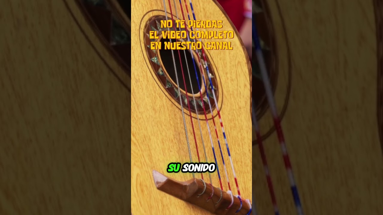 &iquest;Por qu&eacute; el guitarr&oacute;n es &uacute;nico en el mundo?
