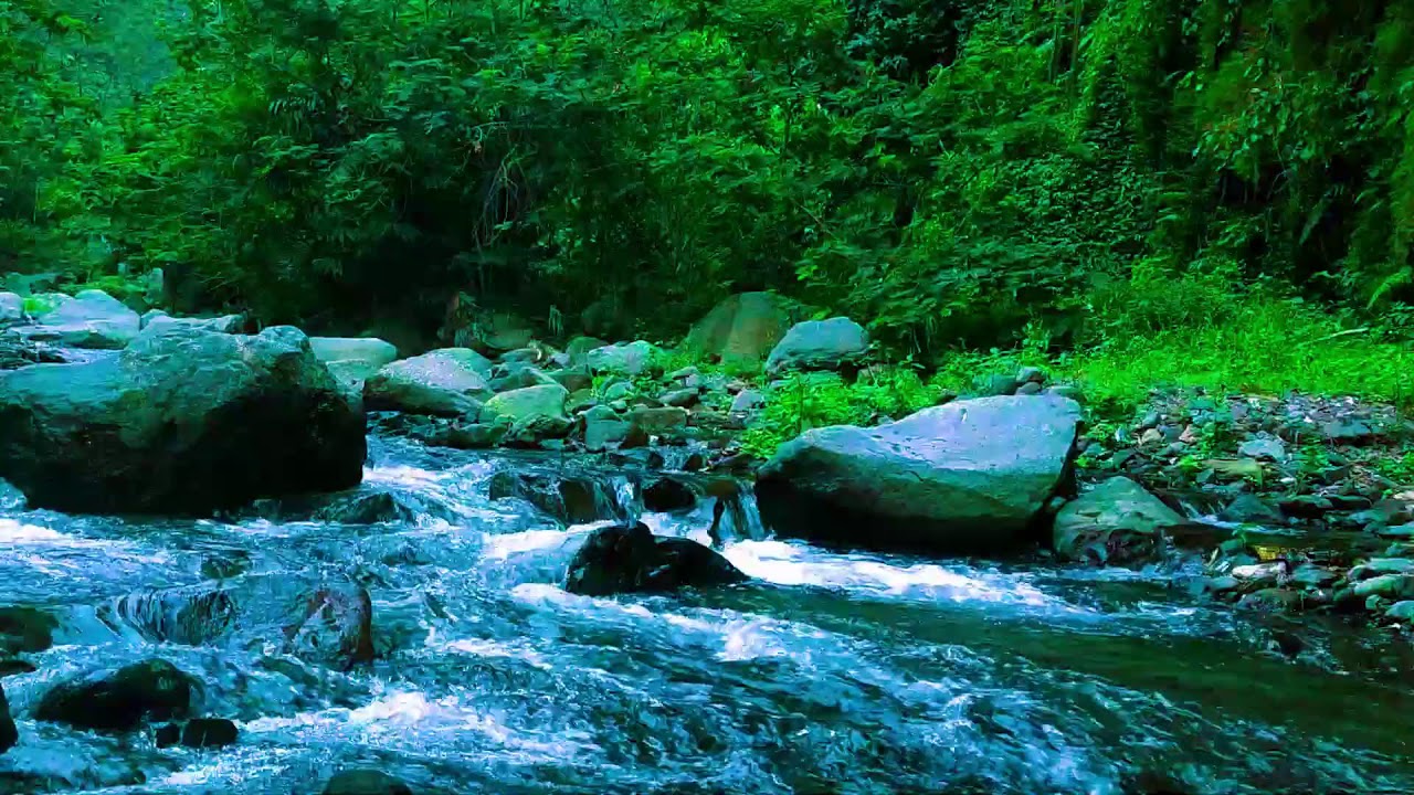 Deep Sleep River Sounds  Natural White Noise for Anxiety Relief