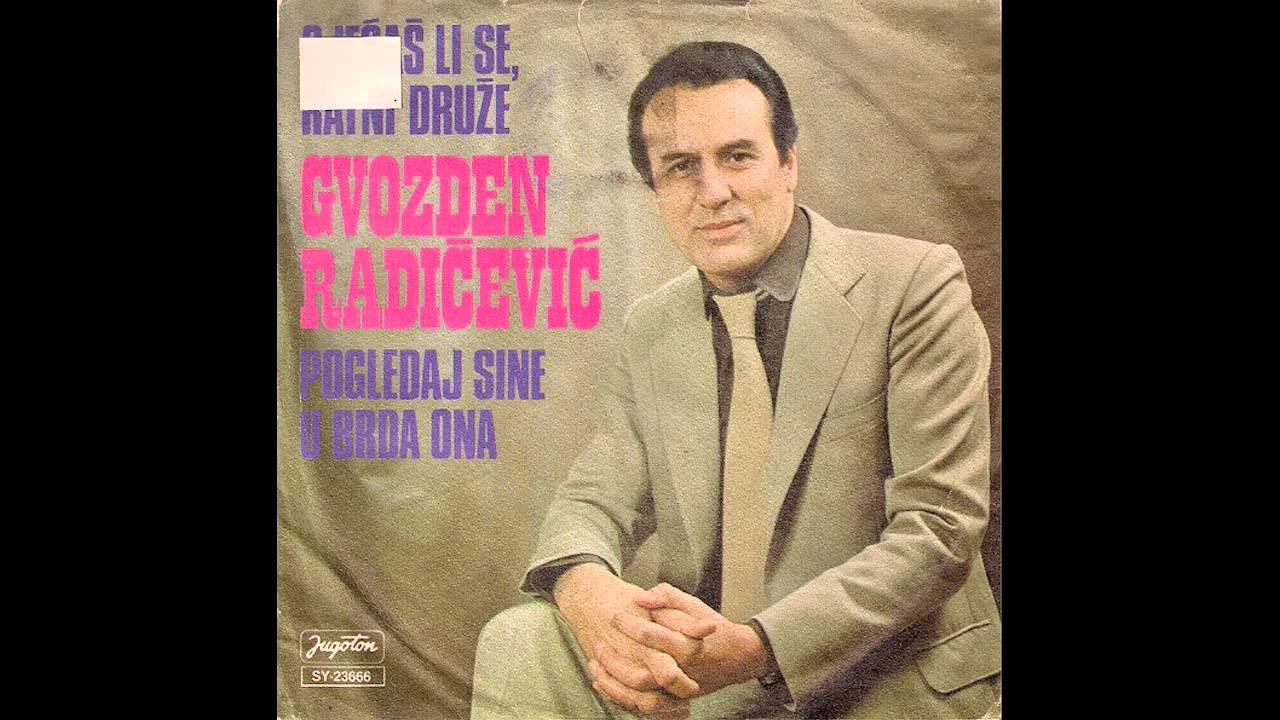 Gvozden Radicevic - Pogledaj sine u brda ona - ( Audio 1980 )