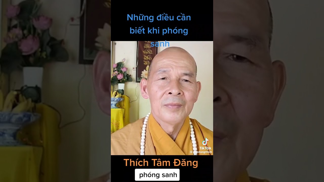 Những điều cần biết khi phóng sanh
