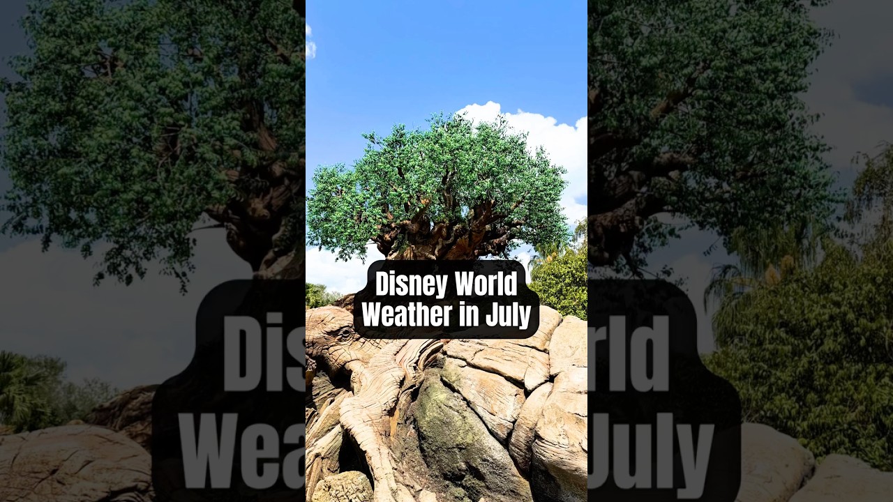 Weather at Disney World in July&hellip;🤔🥵 #disneyworld #disneytipsandtricks #disneyparks #disneytrip