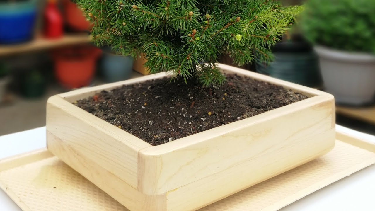 Making a Wooden Bonsai Training Pot【木工】製作木盆景盆