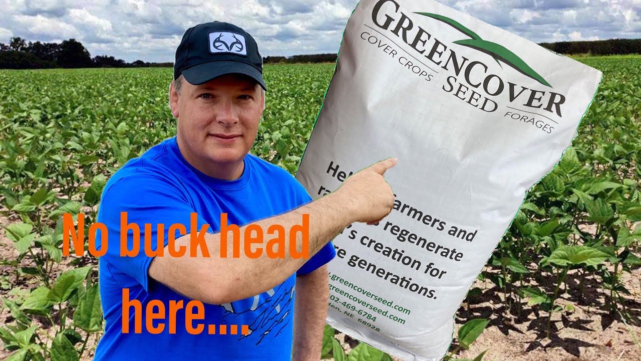 Green Cover Seed Summer Release Mix for Deer Food plots