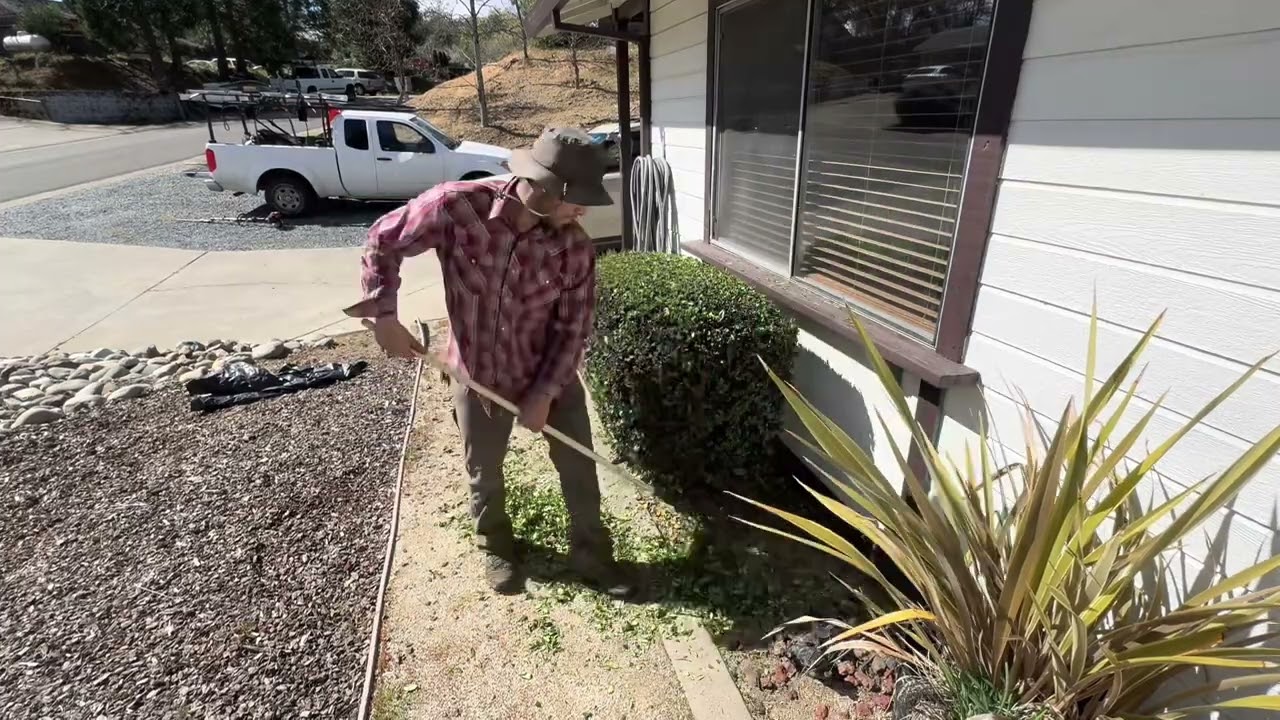 an outdoor barber? 