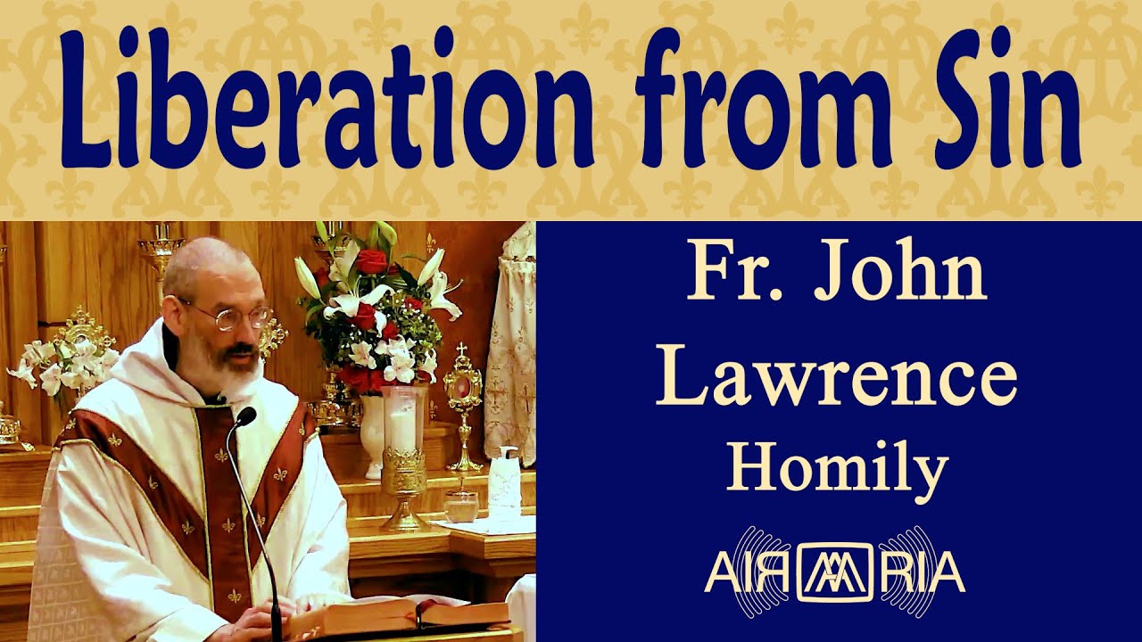Battles Against a Sinful World, Old & New - Jul 17 - Homily - Fr John Lawrence