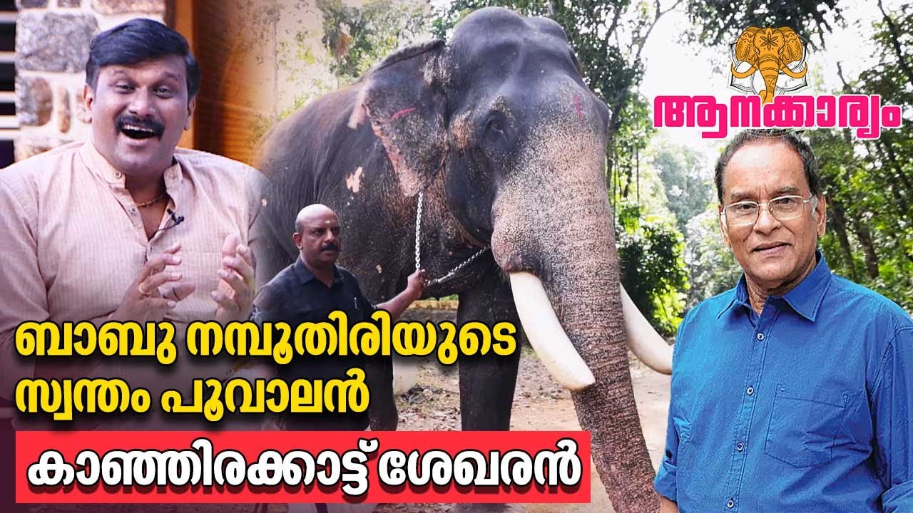 EP 80 | ബാബു നമ്പൂതിരിയുടെ സ്വന്തം പൂവാലൻ Kanjirakkattu Sekharan | Aanakkaryam