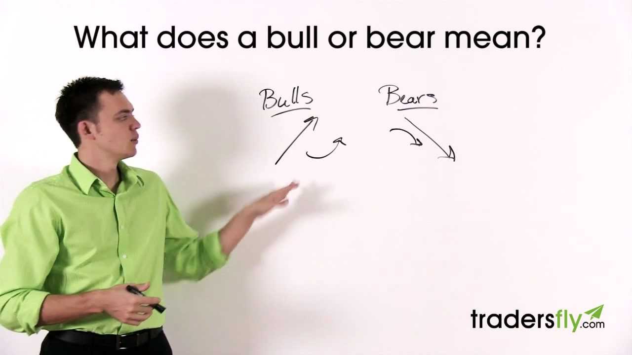 What Does a Bull and Bear Mean in the Stock Market
