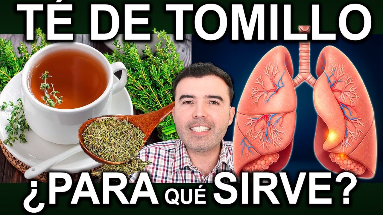 TE DE TOMILLO EN AYUNAS - Beneficios, Para Que Sirve Y Contraindicaciones