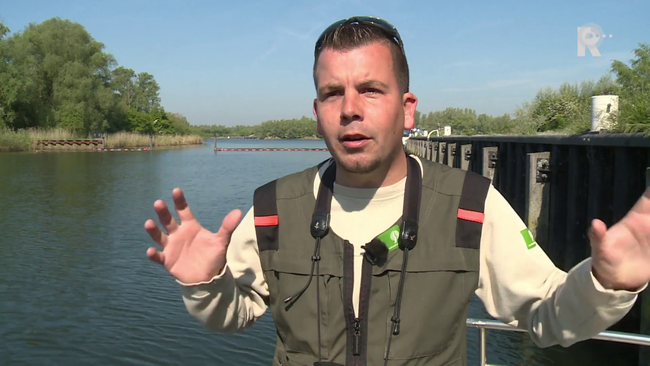 Hoogspanningsmast Biesbosch wordt flat voor visarenden #8