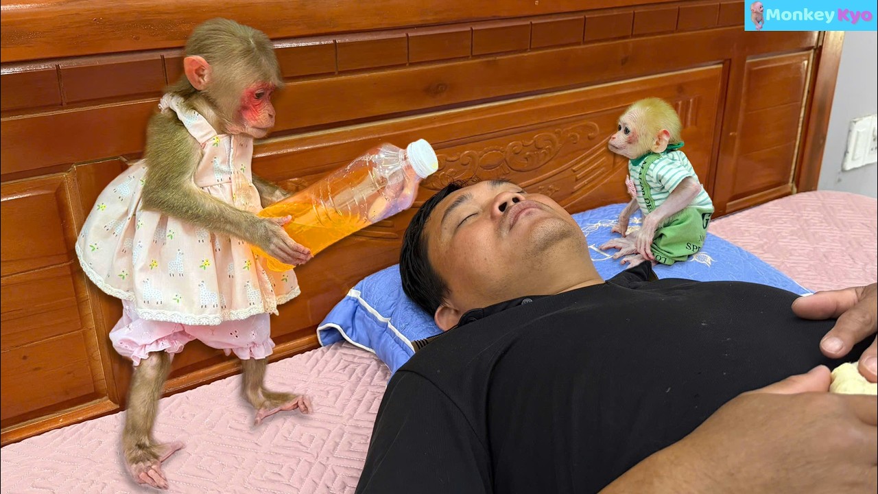 Seeing Dad so sad and tired&hellip; What monkey Kyo did melted everyone&rsquo;s heart! ❤️
