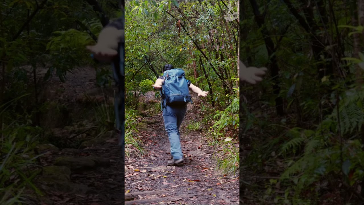 Fool them all! #solohiking #hike #hiking #bushwalk #bushwalking #forest #lumix #shorts #short