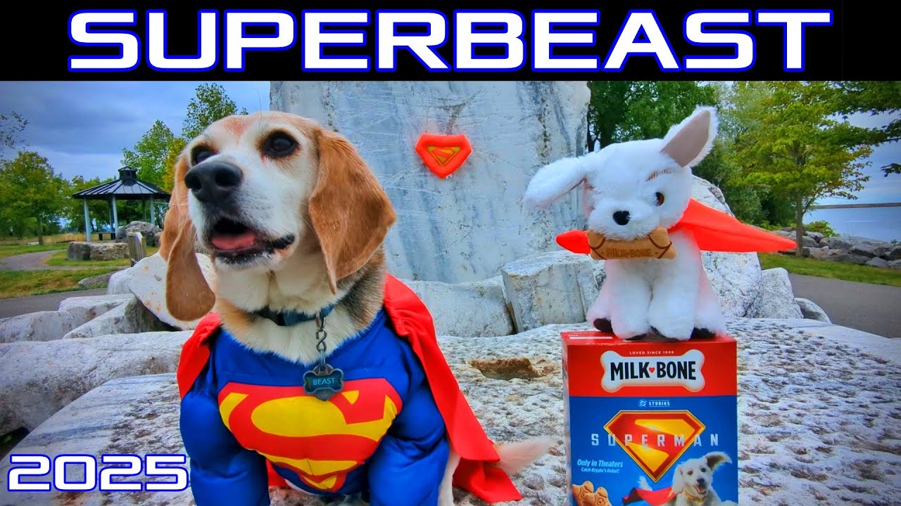 SuperBeast (2025)