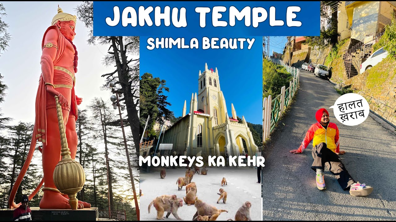 Hanuman Mandir 🙏🏻 | Jakhu Temple By walk 😰 हालत ख़राब | Monkeys | Shimla Beauty |  Vlog 2021
