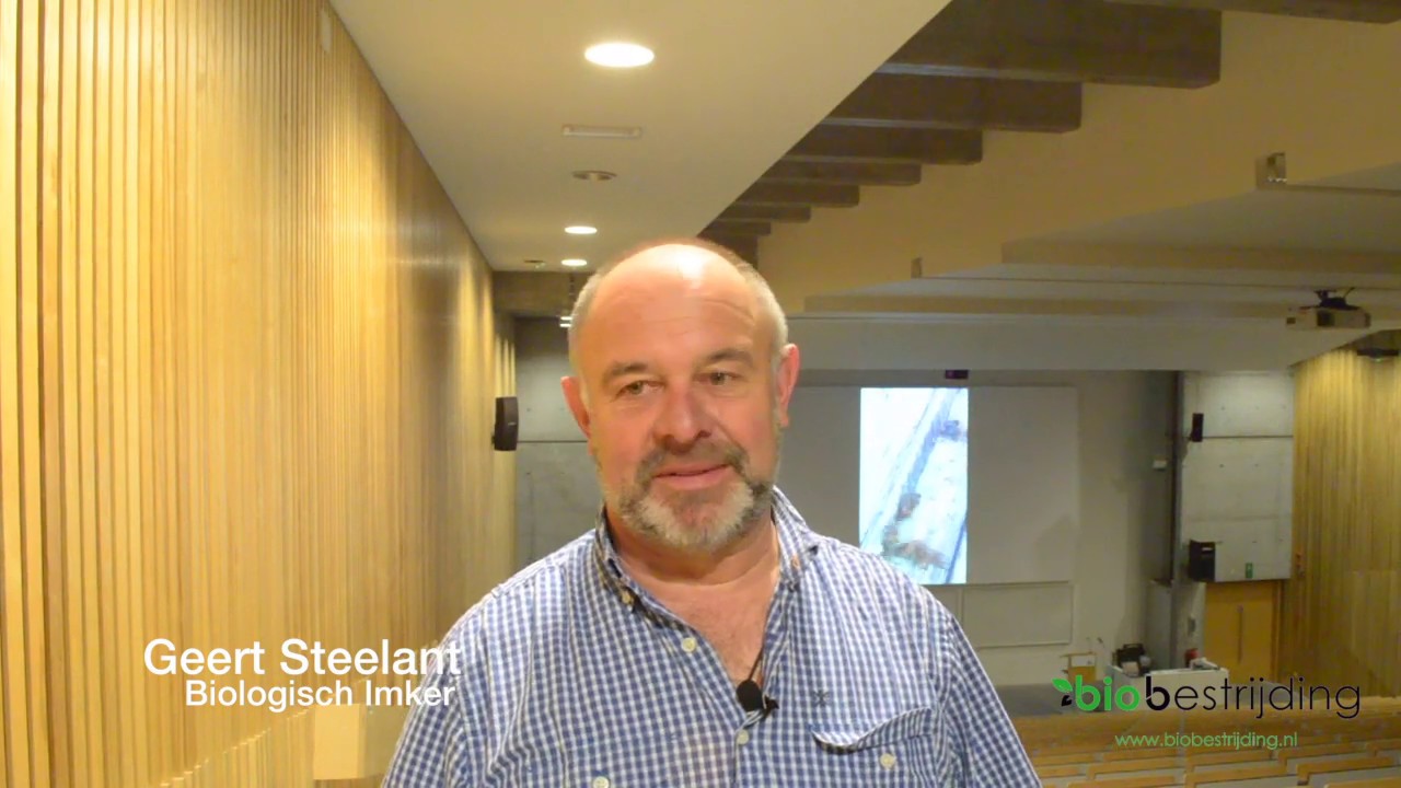 Interview met biologisch en bij-vriendelijk imker Geert Steelant