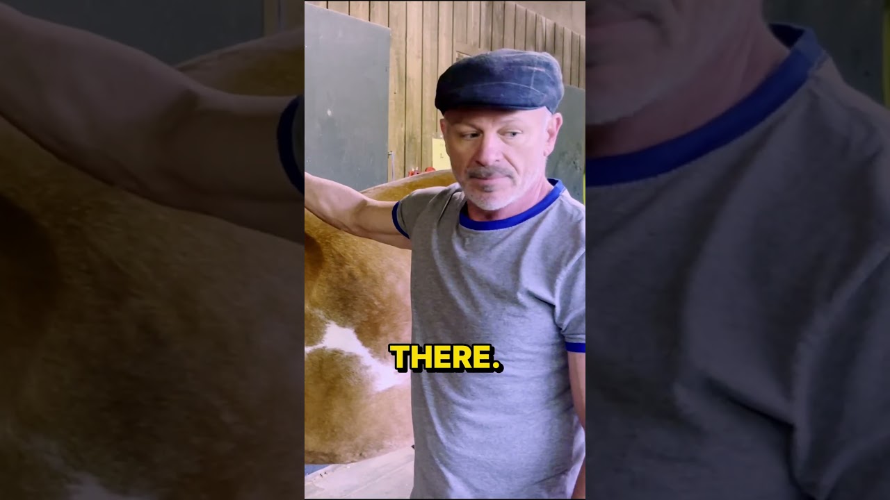 Rescue Horse SPASMING from PAIN ~ Gets HELP from Animal Chiropractor!