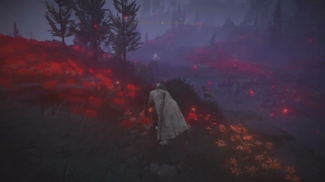 Elden Ring Slowthrough 197: The Red Flower Graves