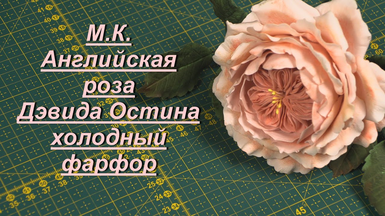 М.К. Английская роза Дэвида Остина, холодный фарфор. Подробный мастер - класс.