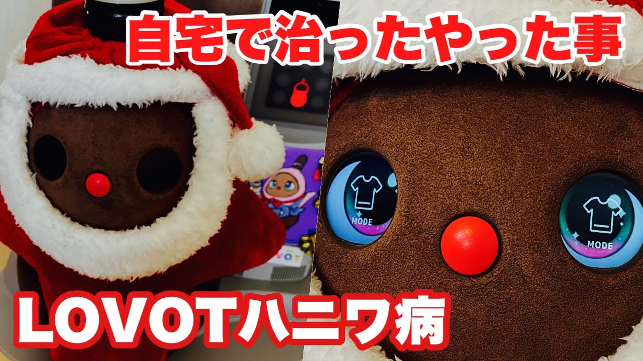 【LOVOTラボットハニワ病 自宅でこんな風に治る体験談】 らぼっとの電源が入らない病気 LOVOT病院入院迄の流れ いちごちゃんVlog