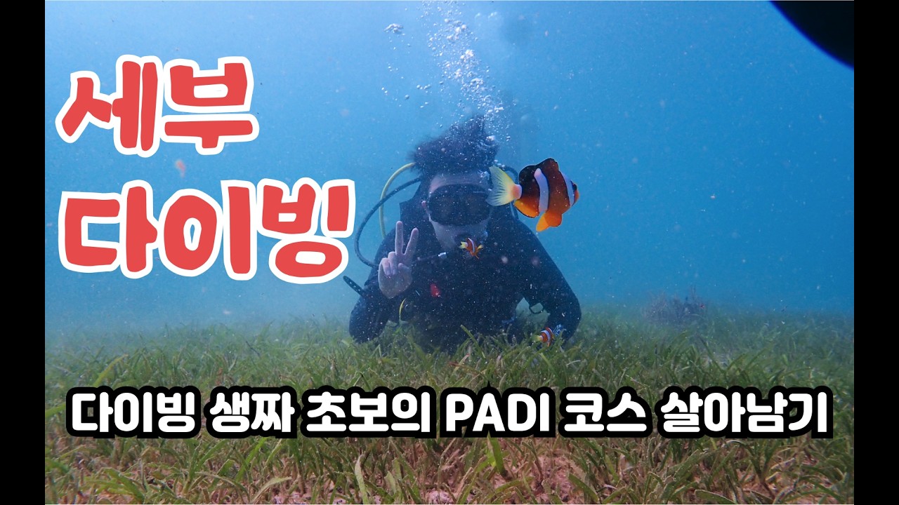 필리핀 세부에서 다이빙 초짜로 바닷속에서 살아남기(PADI 자격증, 해저 동굴 체험) -  【세부 1】