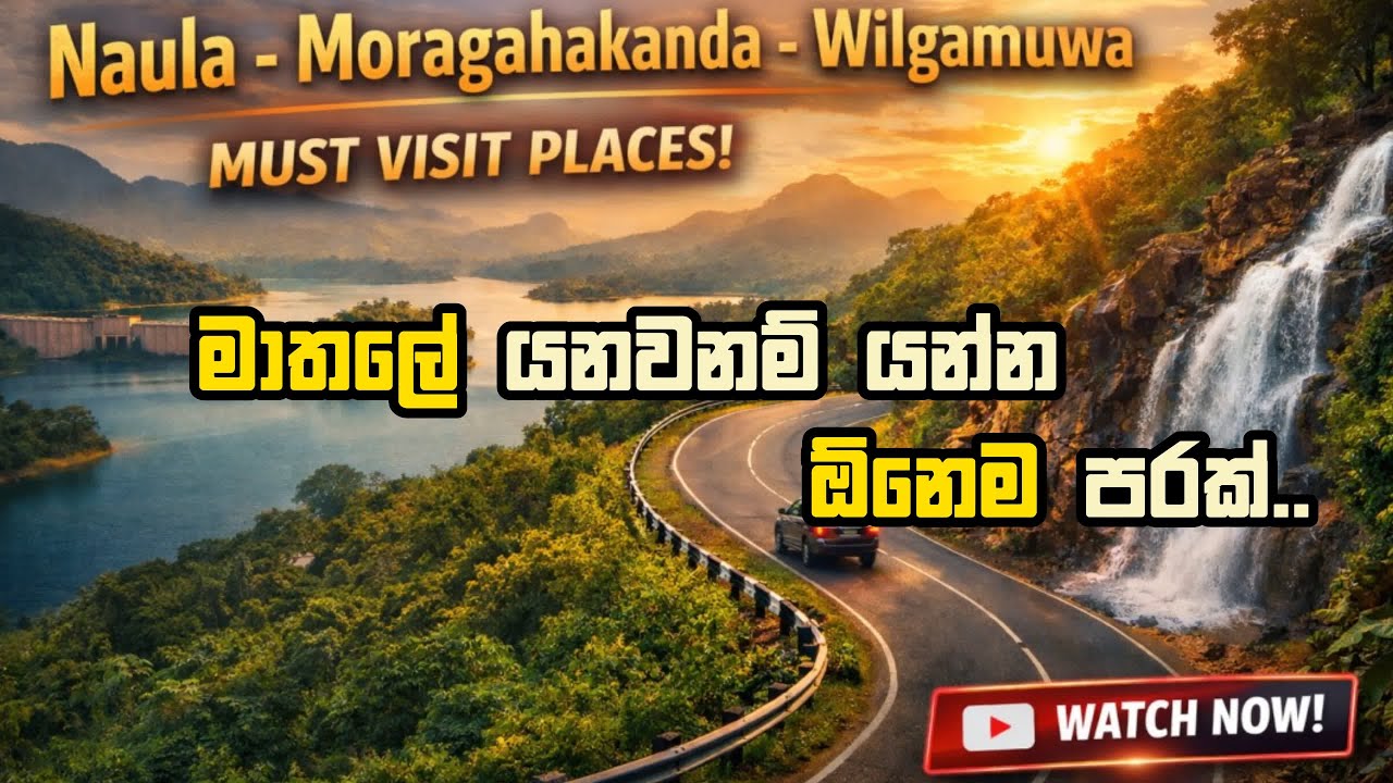 Peaceful Road Trip in Sri Lanka | Naula – Wilgamuwa Nature Drive #roadtrip
