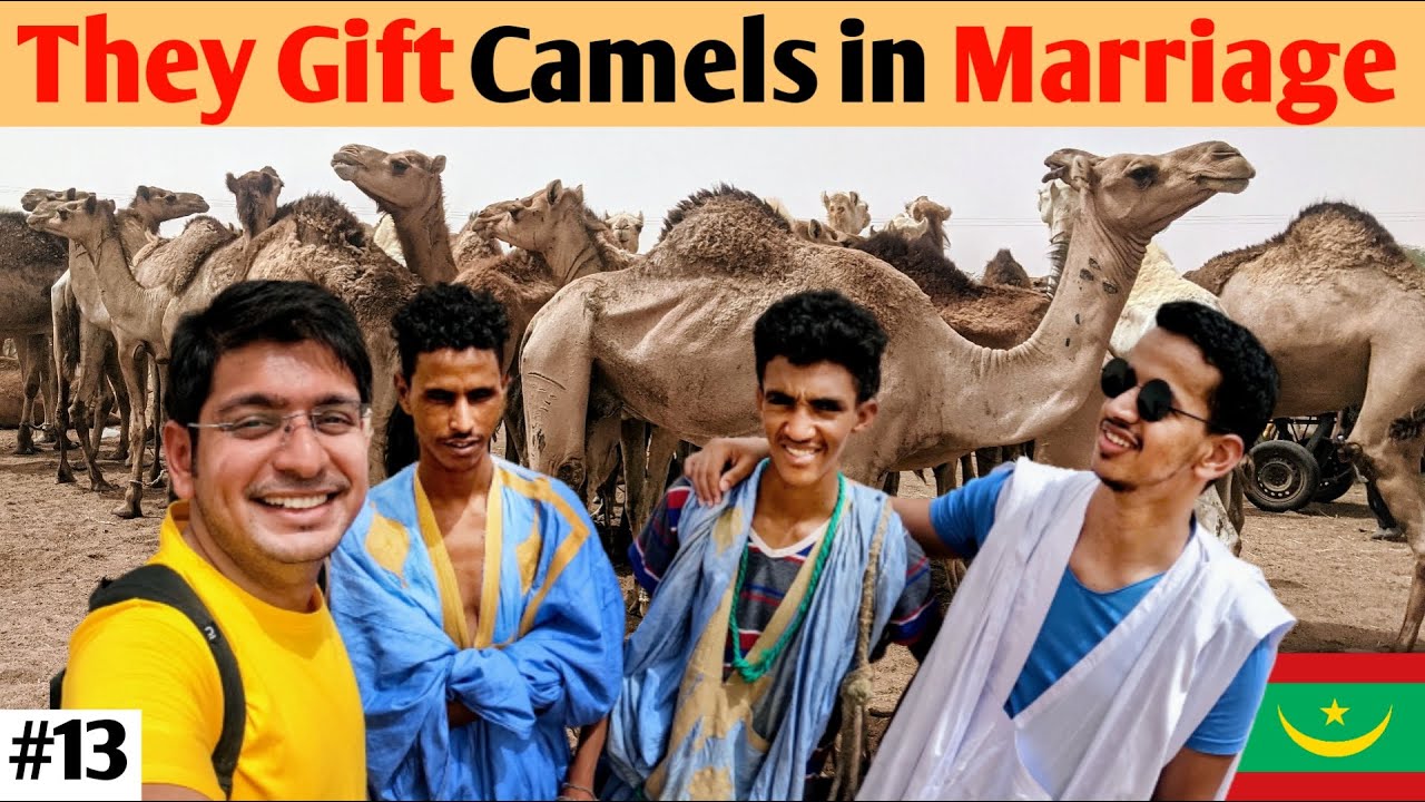 Largest Camel Market in West Africa (NOUAKCHOTT, MAURITANIA 🇲🇷😱🔥)