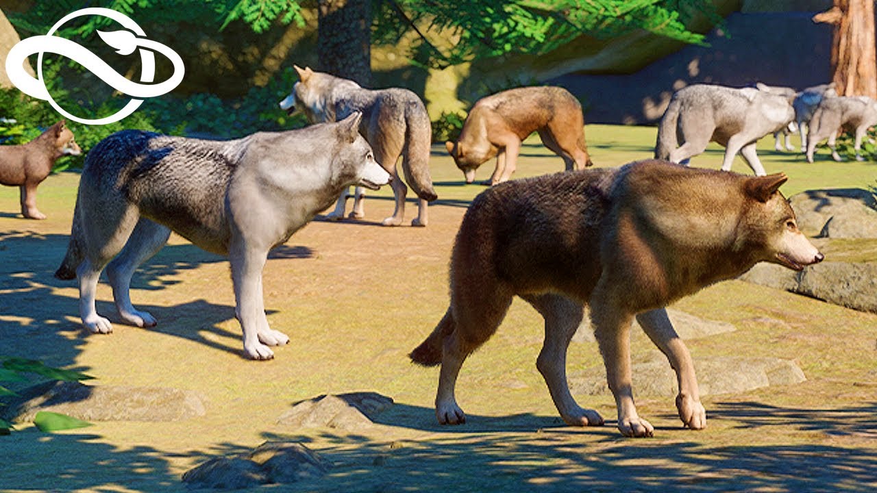 Planet Zoo Update Coming! Animal Coat Colour Variation | Planet Zoo News & Updates