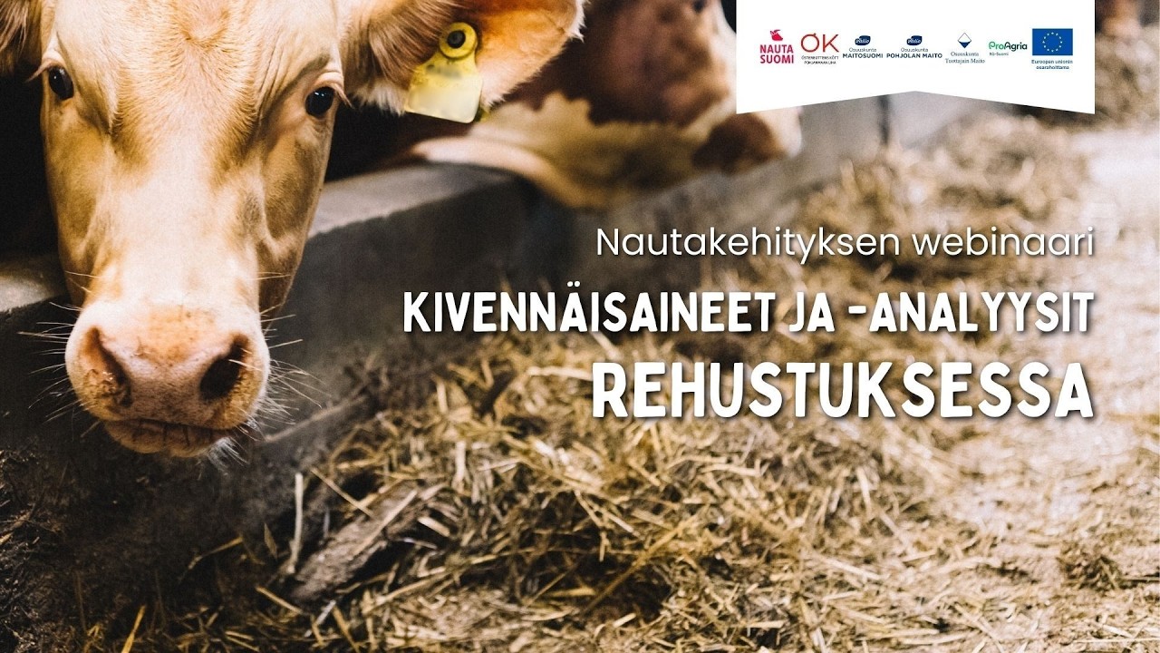 Webinaari: kivennäisaineet ja -analyysit rehustuksessa