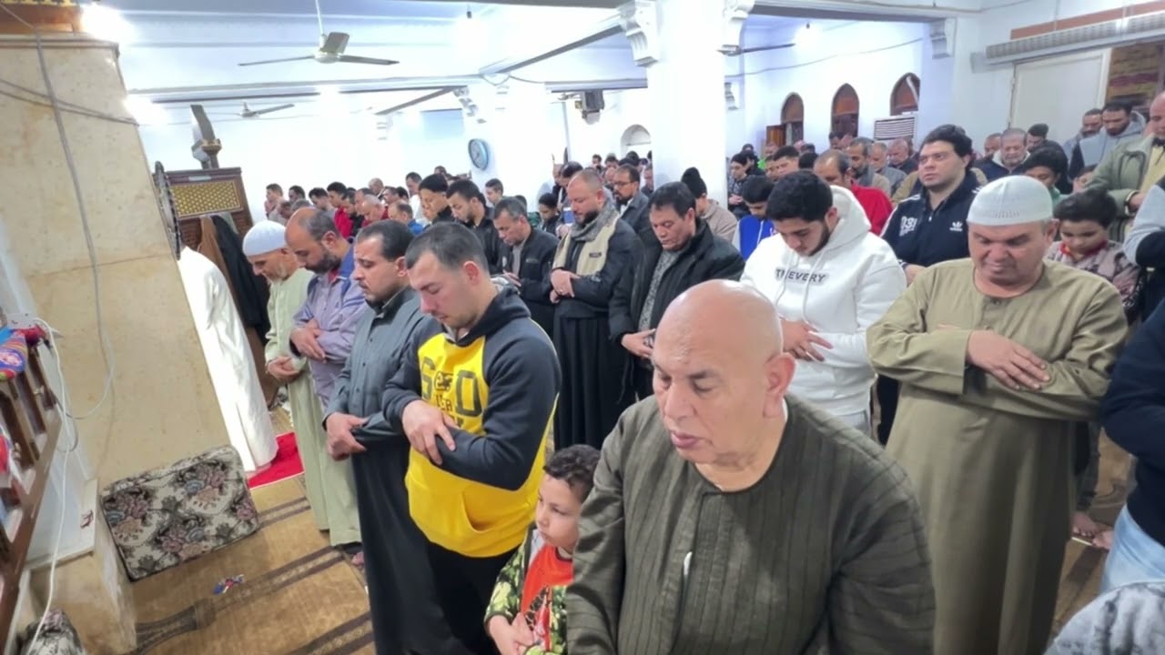 خشوع لا يوصف في أول تراويح رمضان 🤍 سورة البقرة بصوت مؤثر جدًا القارئ محمد حسام الدين 