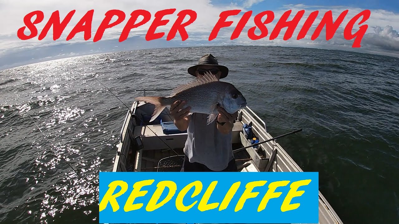 REDCLIFFE SNAPPER FISHING 10TH JAN 2025